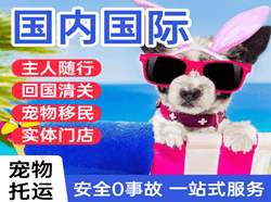 正定航空物流国际宠物托运 【国